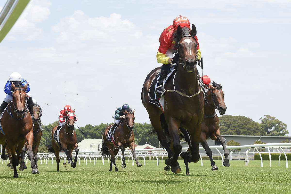 Snowden Racing - The bar just keeps rising for handsome...