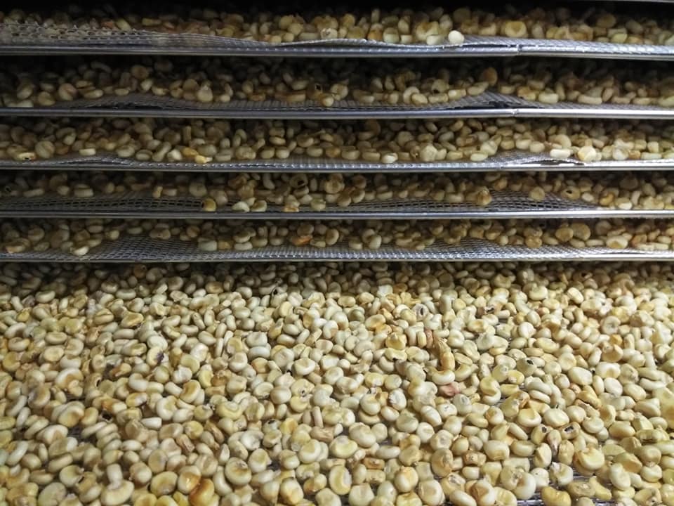 Oneida Cannery - A glimpse of a day in the... | Facebook