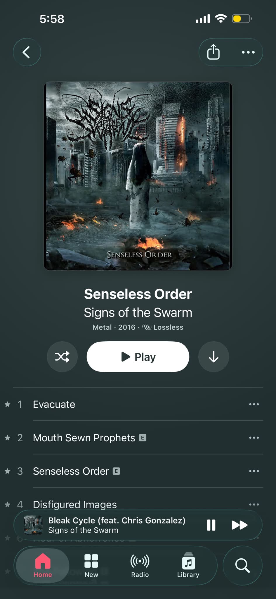 Senseless Order - Signs of the Swarm CD for sale