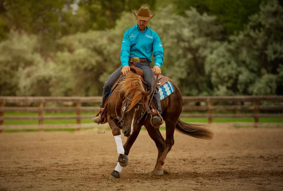 🎉 Congratulations to... - Ryan Rushing Performance Horses | Facebook