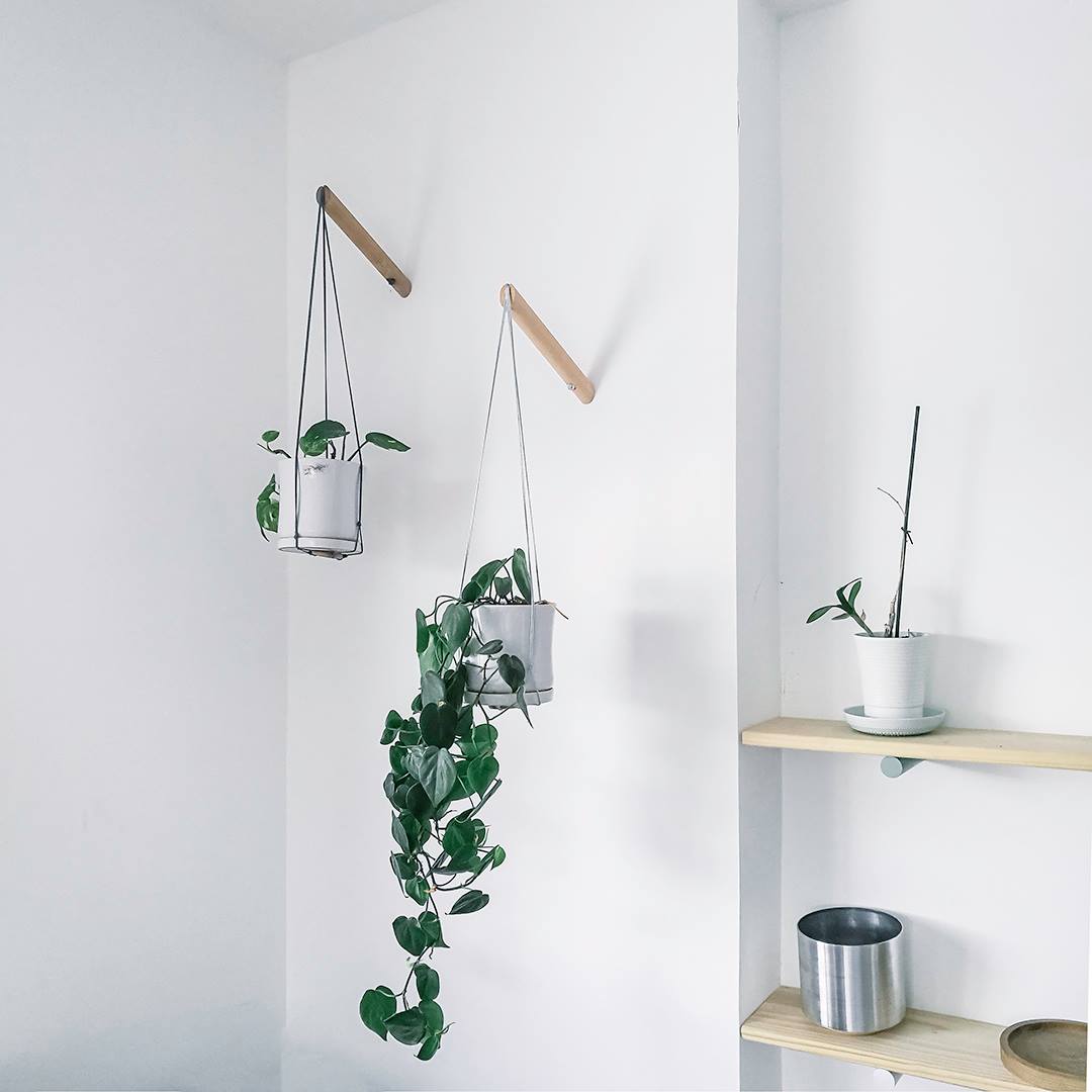 Loop Living - Our handmade plant hangers add life to your... | Facebook