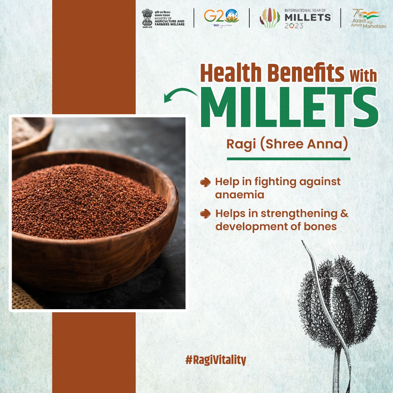 IYM - Rise with Ragi! Ragi, also known as finger millet, has high ...