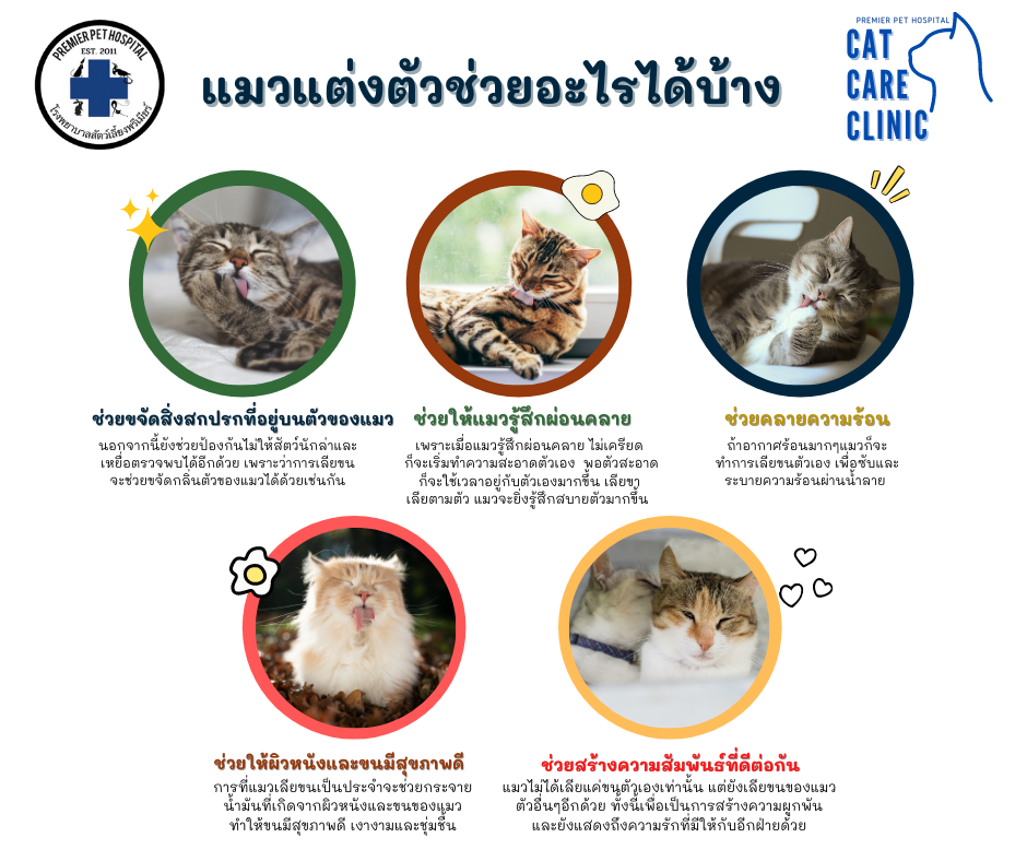Home Pet Exetic