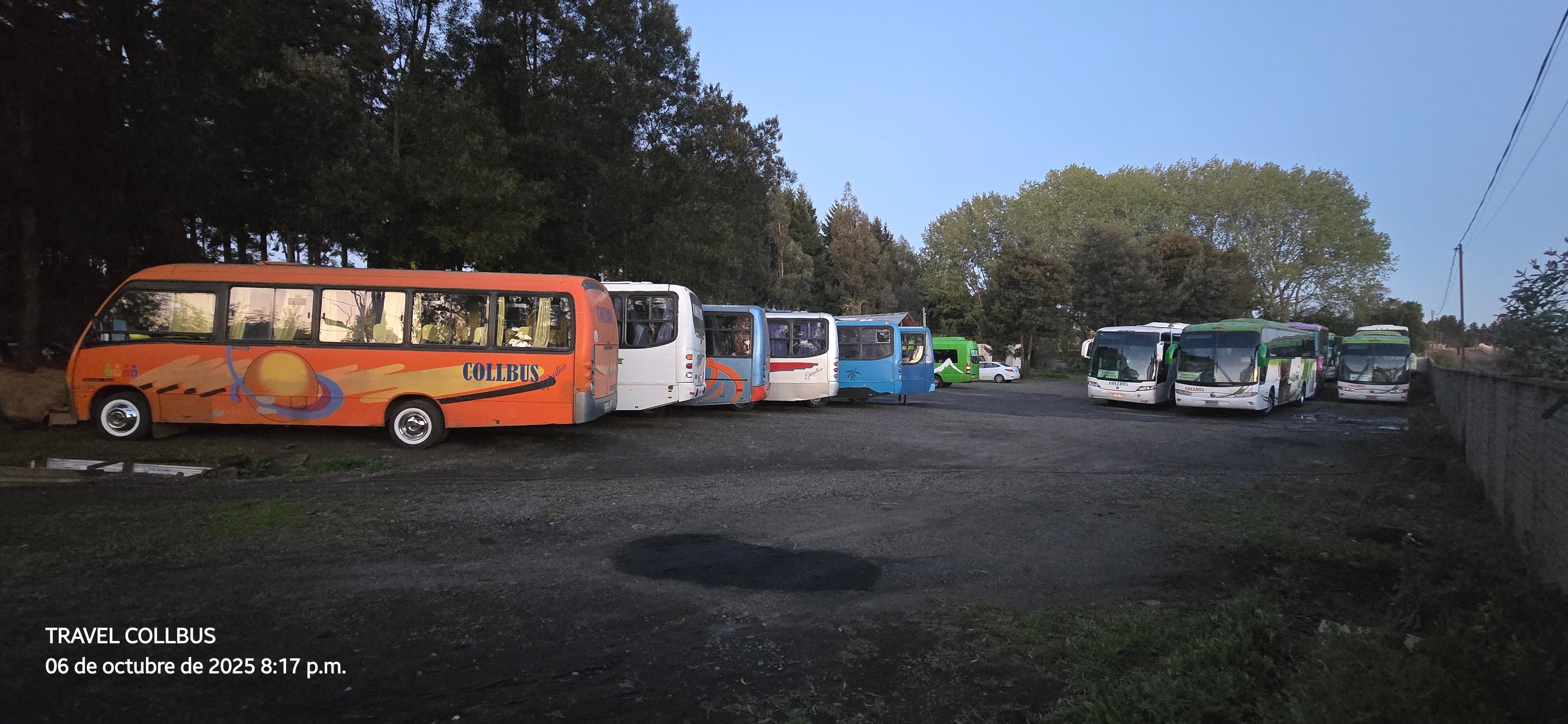 Buses Collbus