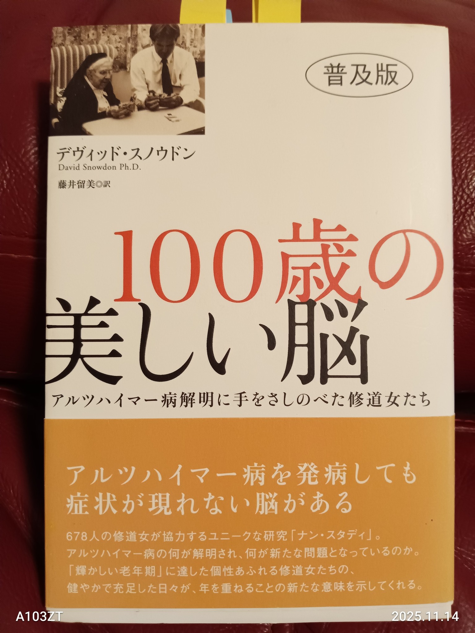 ナン・スタディ】