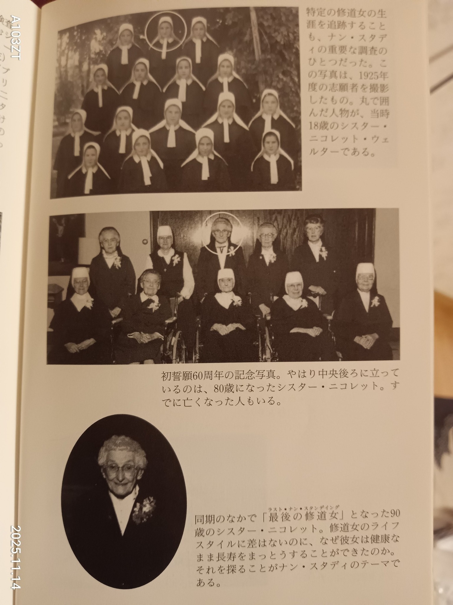 ナン・スタディ】