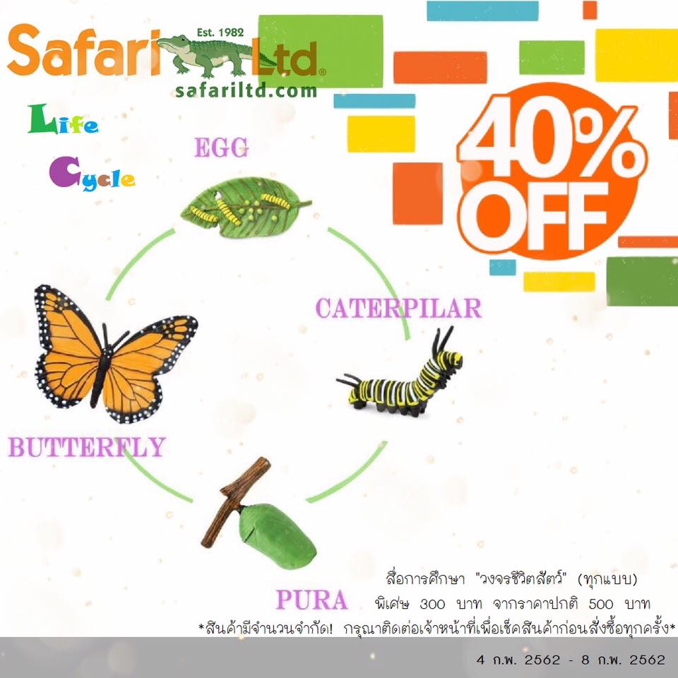 🐛🦋🐞🐜🐢วงจรชีวิตสัตว์ต่างๆ🐢🐜🐞🦋🐛... - Safari Ltd. Thailand | Facebook