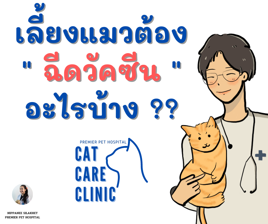 Home Pet Exetic