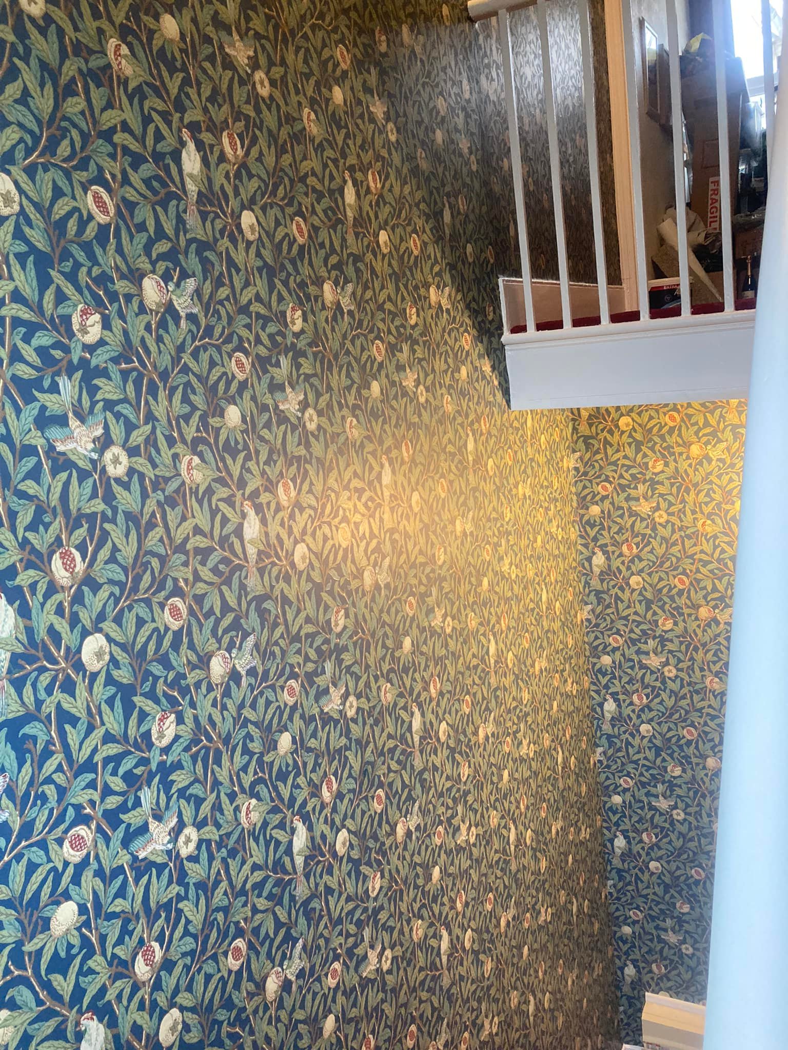 Martin Ray Decorating
