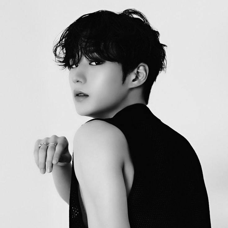 KIM JUNSEO the Visual Vocalist-Dancer of 1THE9, WEi, and ALD1 🩶