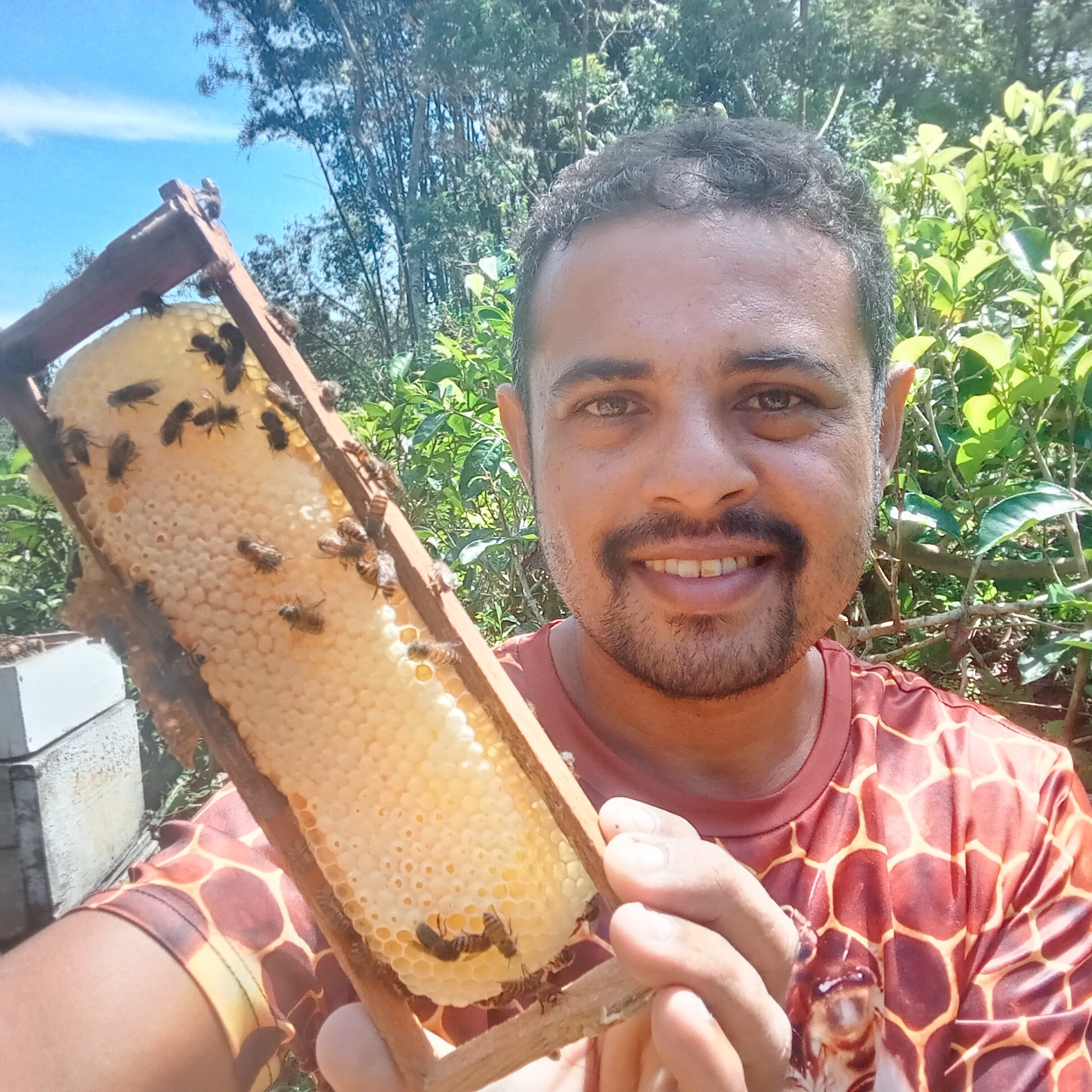 තිස්සමහාරාමයේ ඉන්නා තවත් සැබෑ... - Lets Save Our Bees | Facebook