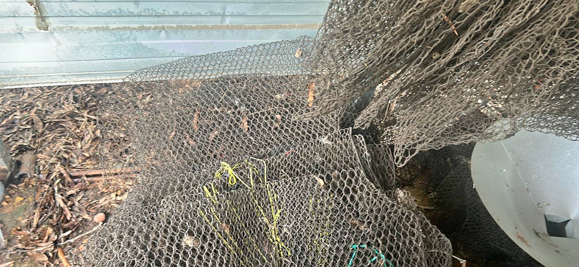 empty fishing nets louisiana 21 inch Deep 5-Foot Telescopic Net Green Threats - The Chagos Trust