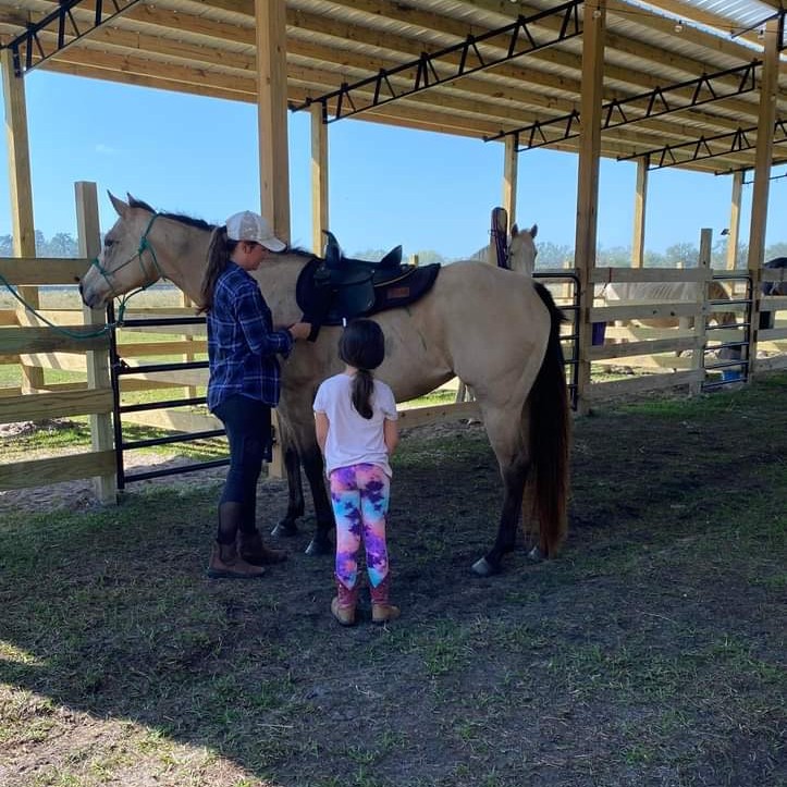 CB Equine Services... - CB Equine Services at Red Flag Ranch