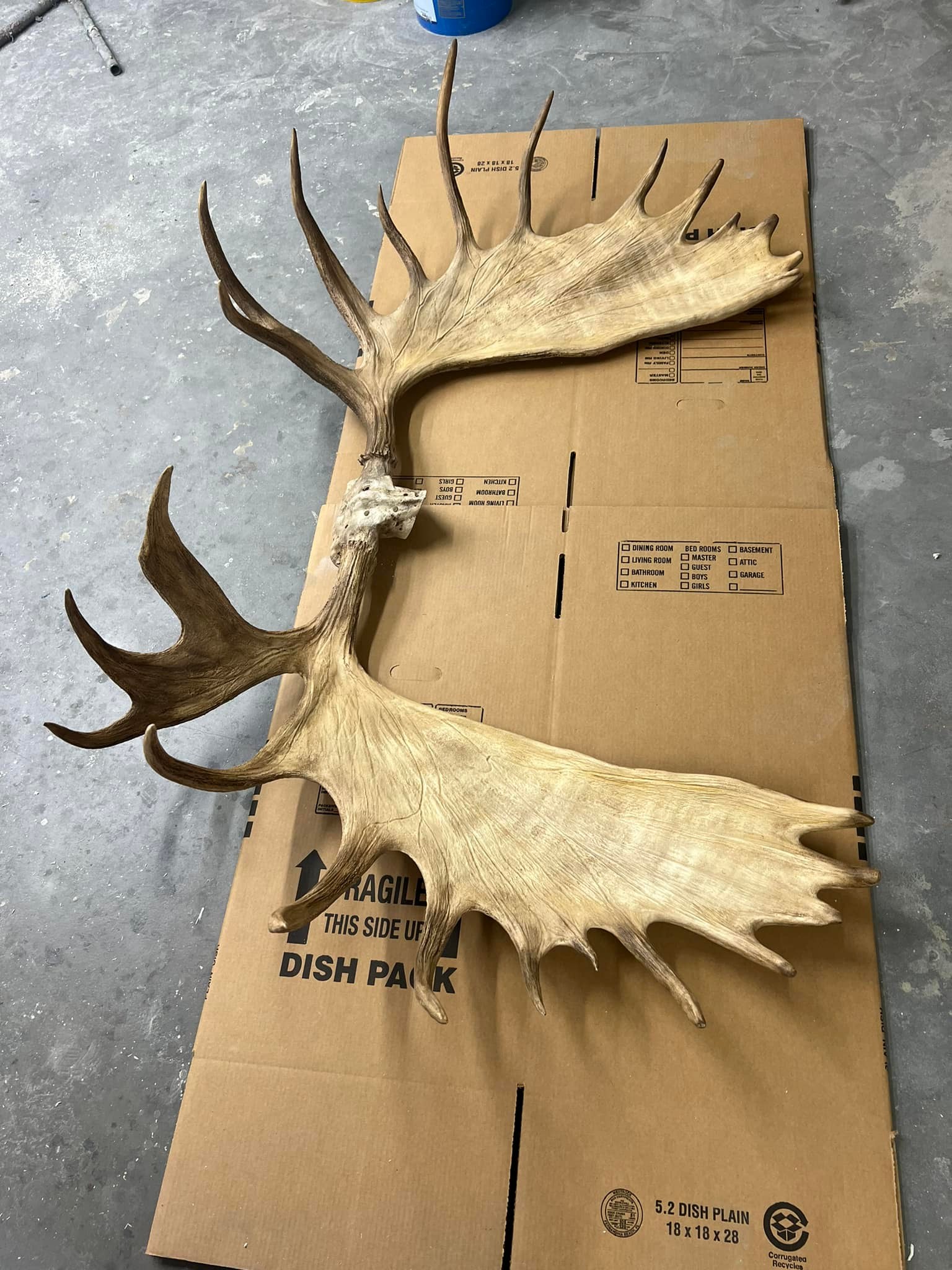 Replica Racks