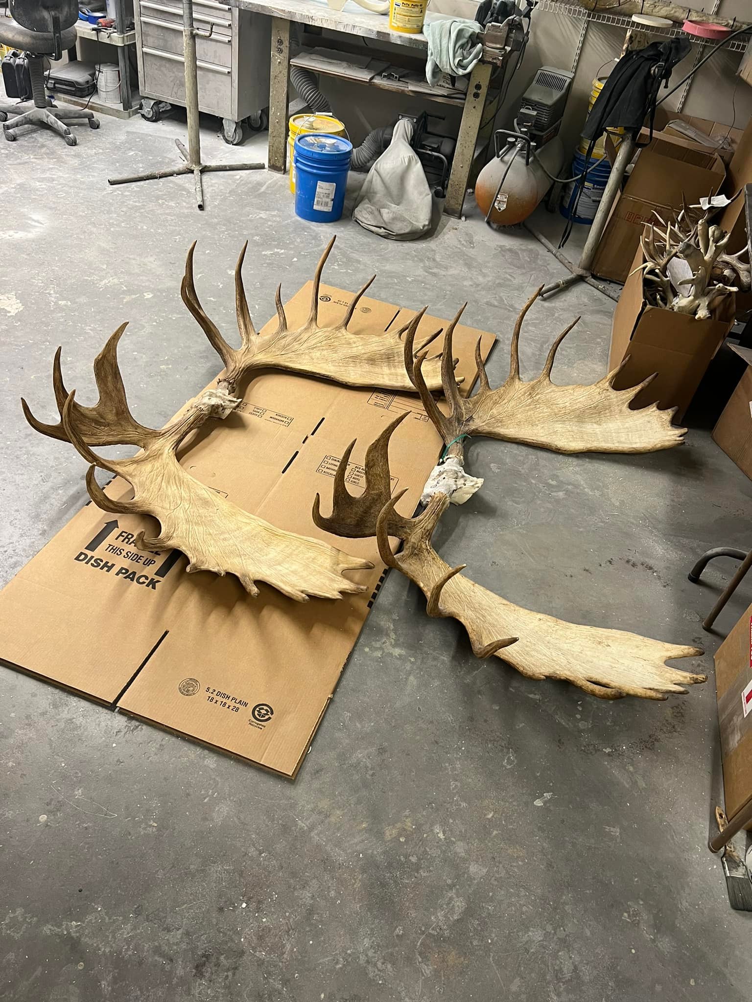 Replica Racks