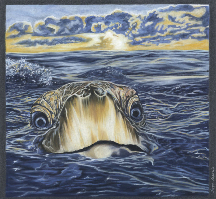 The Atlantic ridley sea turtle is the... - Twyla Francois Art | Facebook