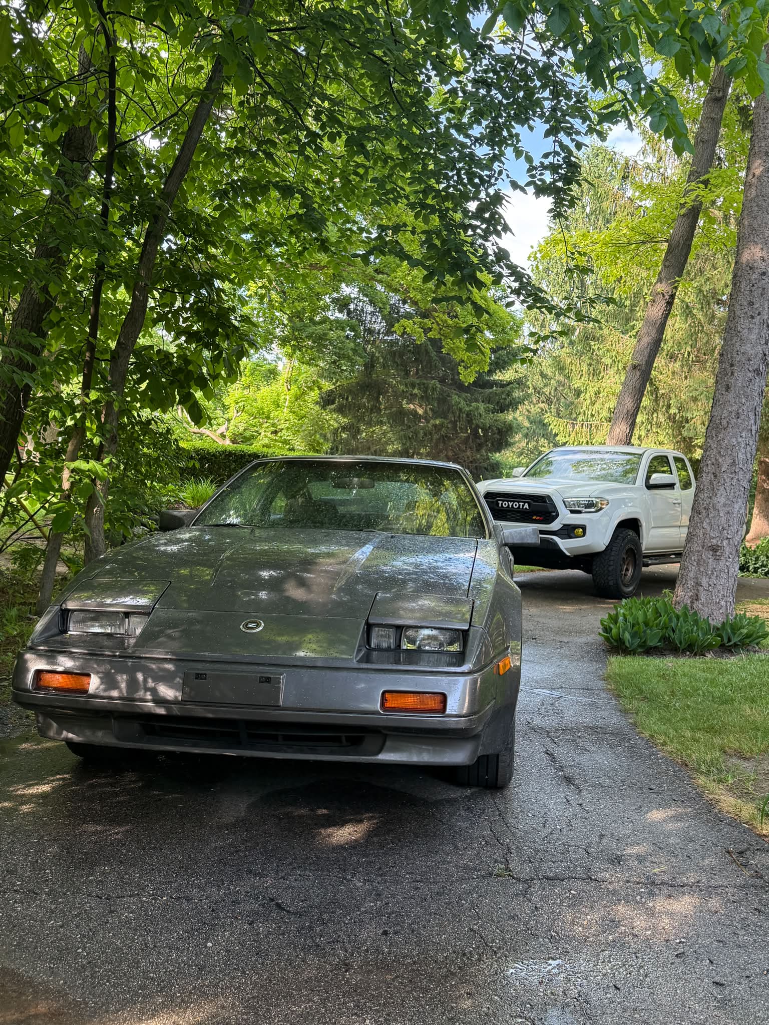 Looking for a clean 1984-1986 300ZX Z31 shell near Lansing, MI