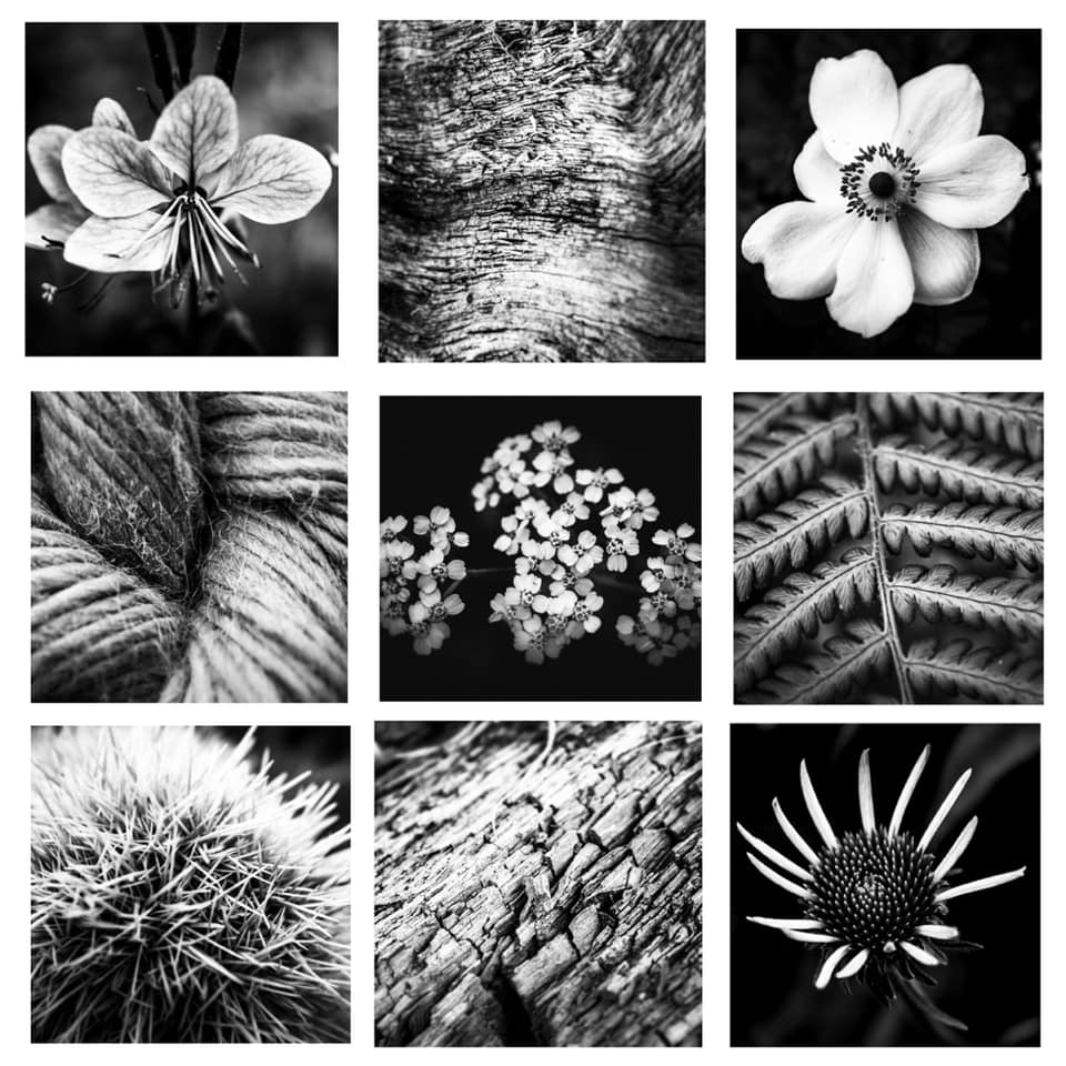 Julie Cooper Photography