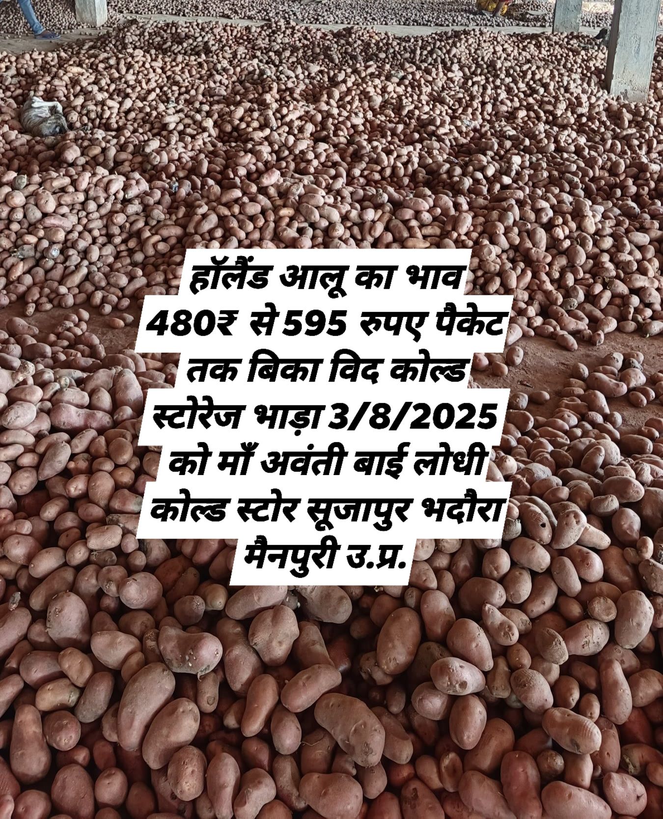 Ashish Rajput