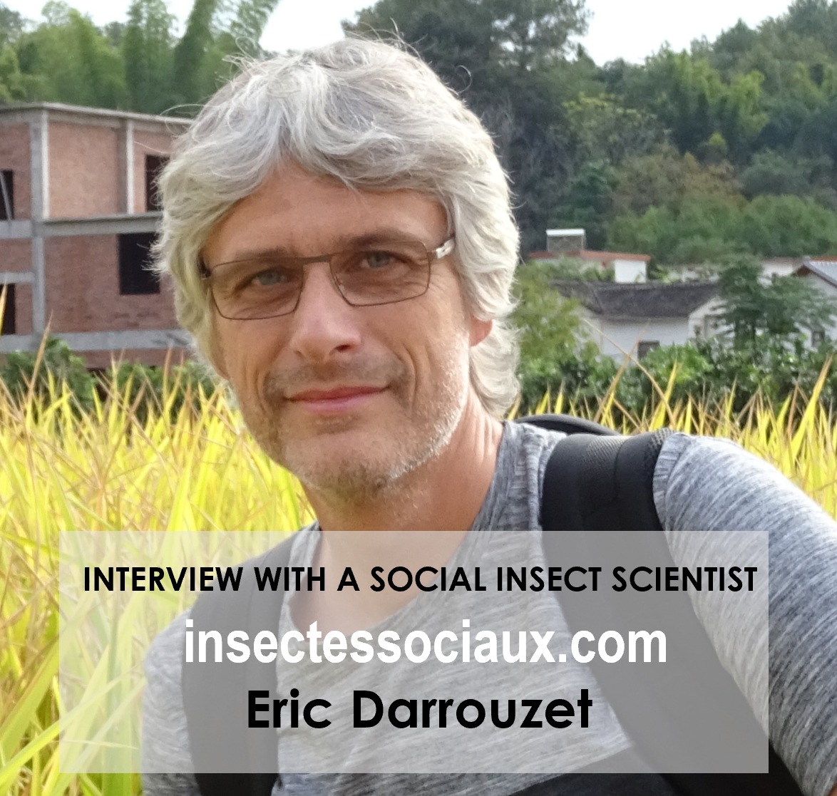 Insectes Sociaux - A new 'Interview with a Social Insect Scientist' is ...