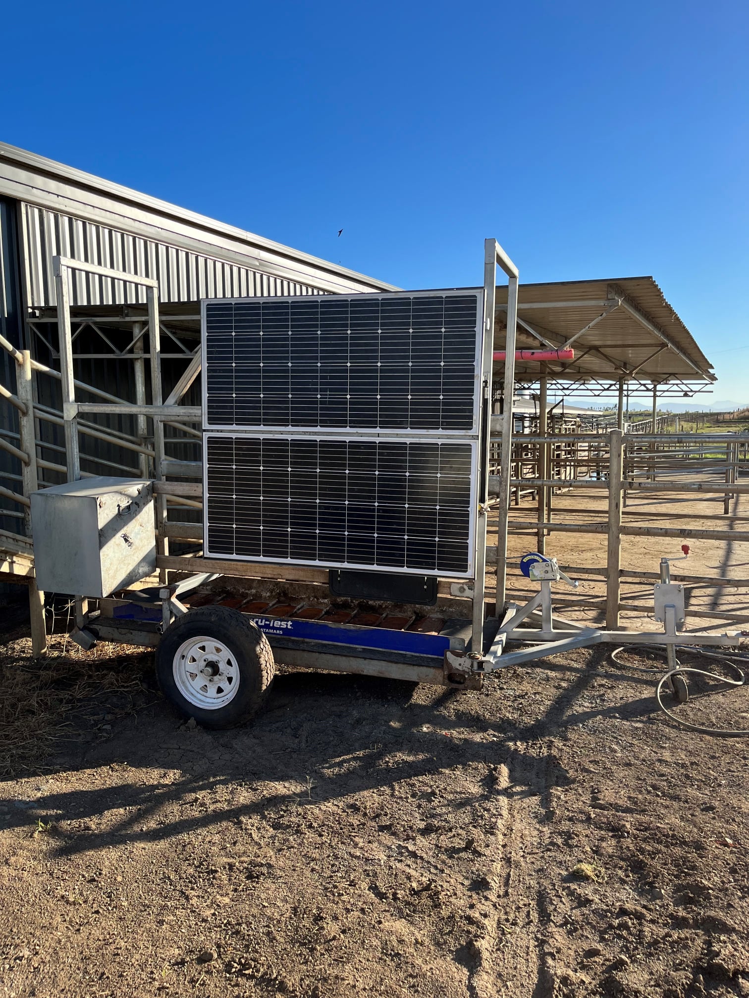 Tasmanian Dairy Focus Farm