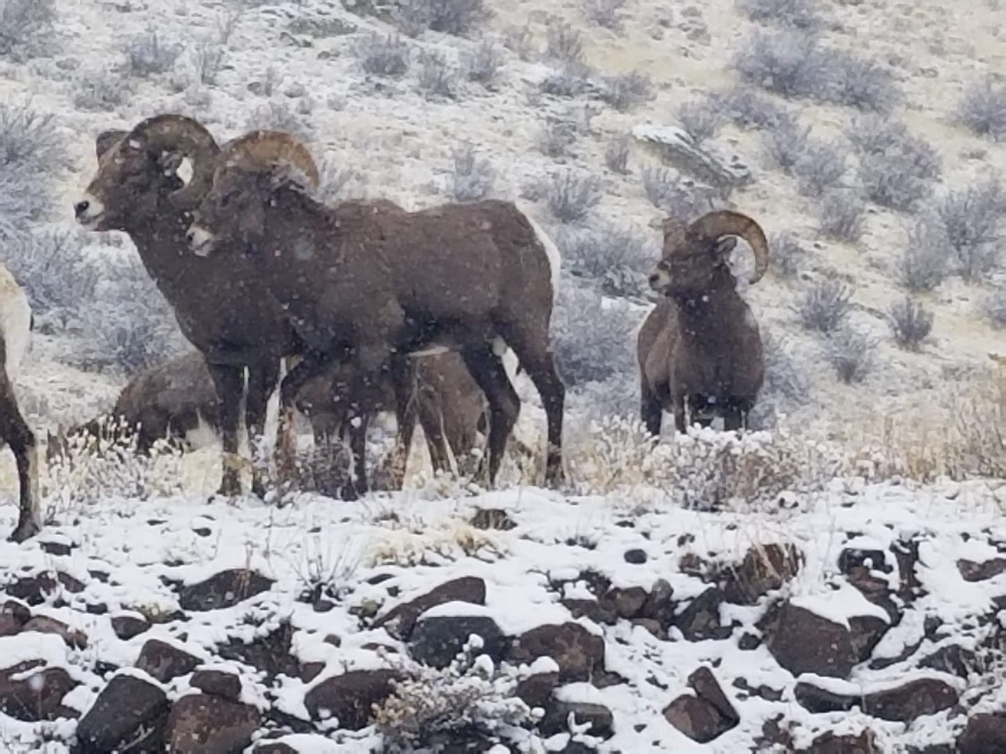 RC Guest Ranch | Creede CO