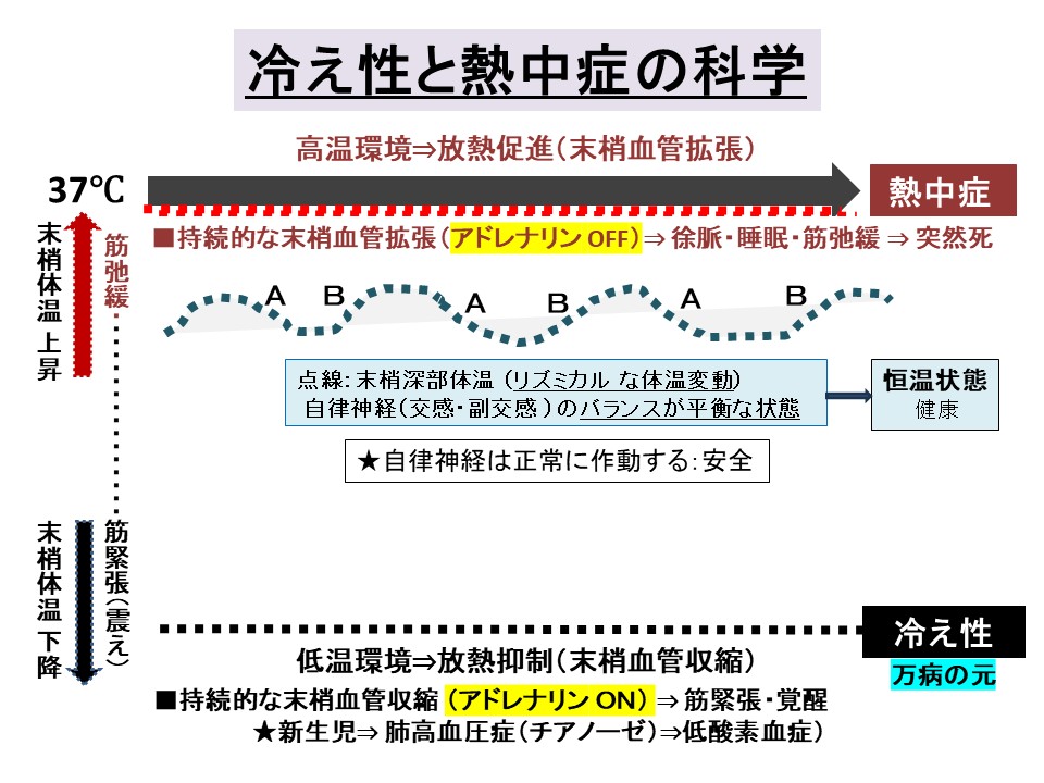 本 妊婦と赤ちゃんに学んだ冷え性と熱中症の科学 | 久保田 史郎