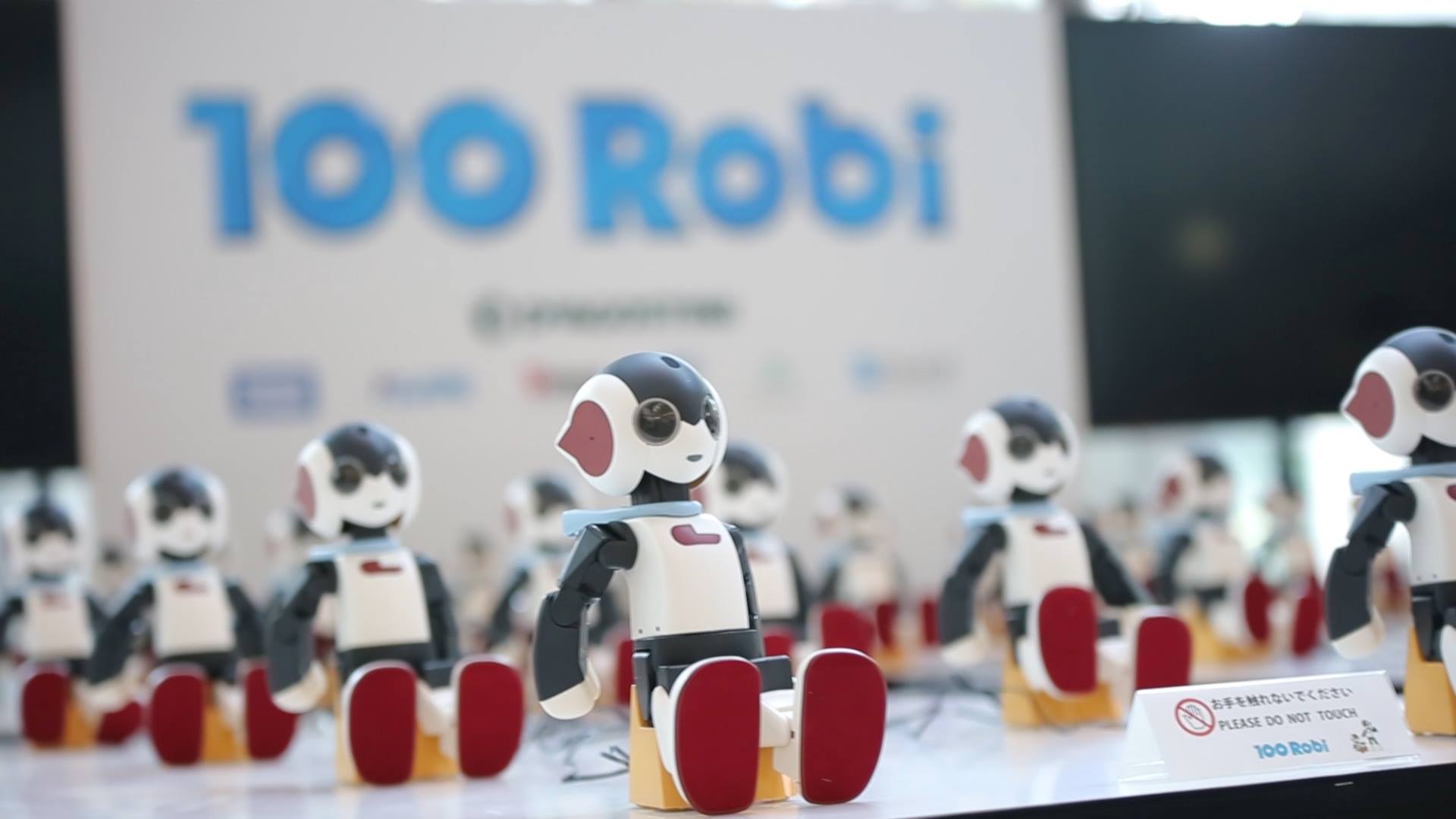 Hello Robi