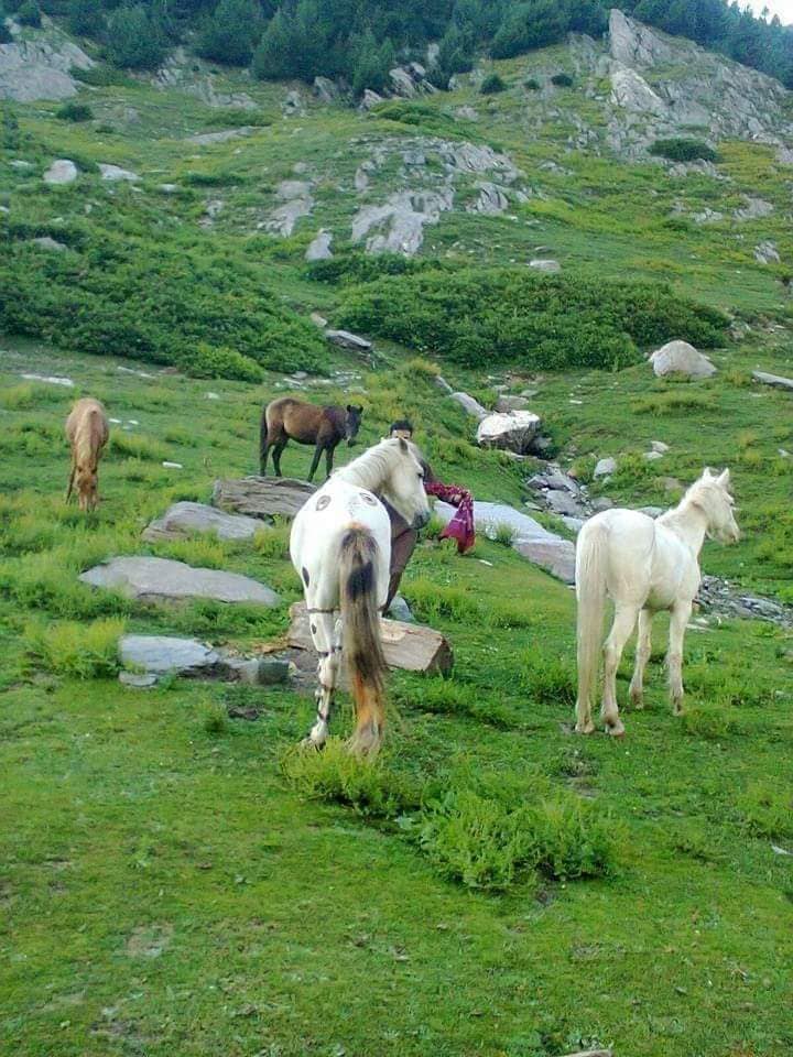 Khadim_E_Manoor ValleY