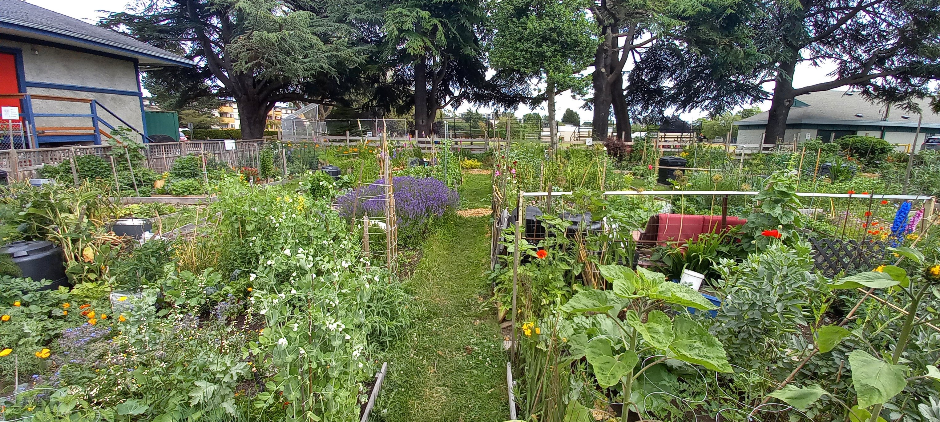 Community Farm
