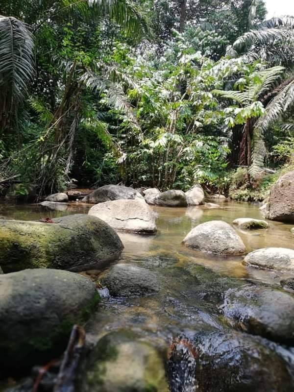 Sg Dara Tg Malim Tanah Sawit Jual Beli Tanah Malaysia Facebook