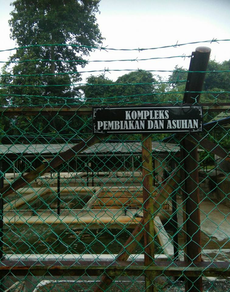 Tapak Ramsar Tasek Bera