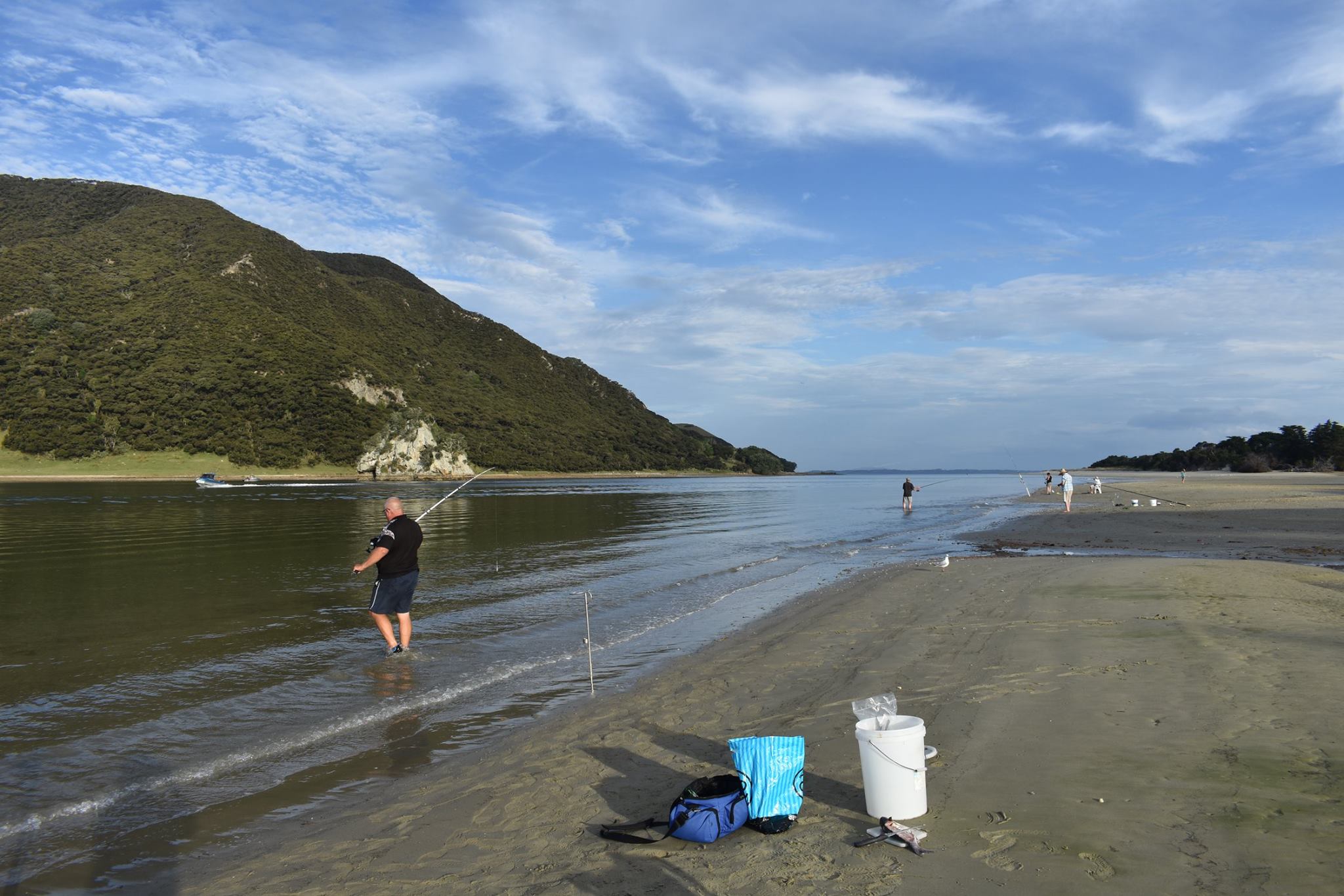 What A Great Weekend Of Fishing It Has Houhora Heads Wagener