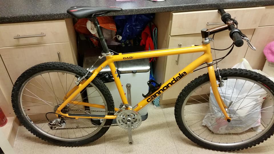 What model and year is this early 90s mountain bike?