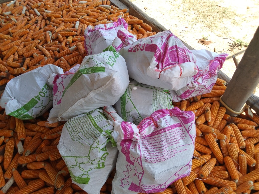 ส่งเรียบร้อยไ... - ถ่านไม้ลำไย B.M.farm ลำพูน-เชียงใหม่ ส่งฟรี