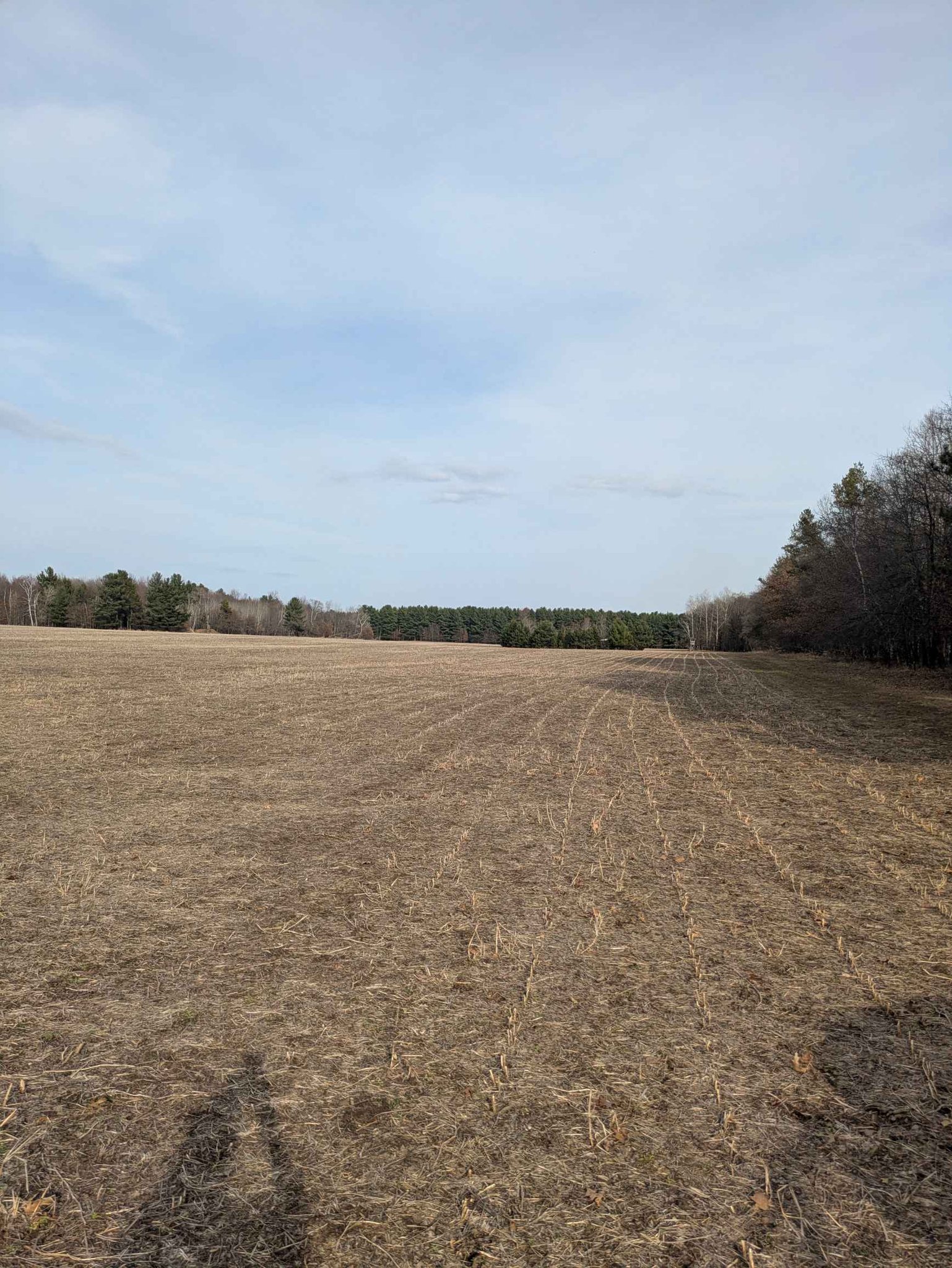 Land for Rent 65 Acres - Property Rentals - New Auburn, Wisconsin ...