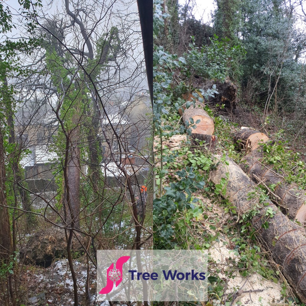 JR Tree Works