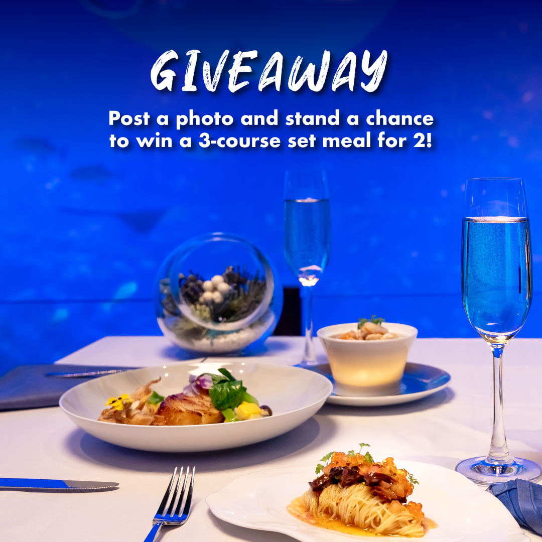 Ocean Restaurant - Love sharing what’s on your plate? Show us your ...