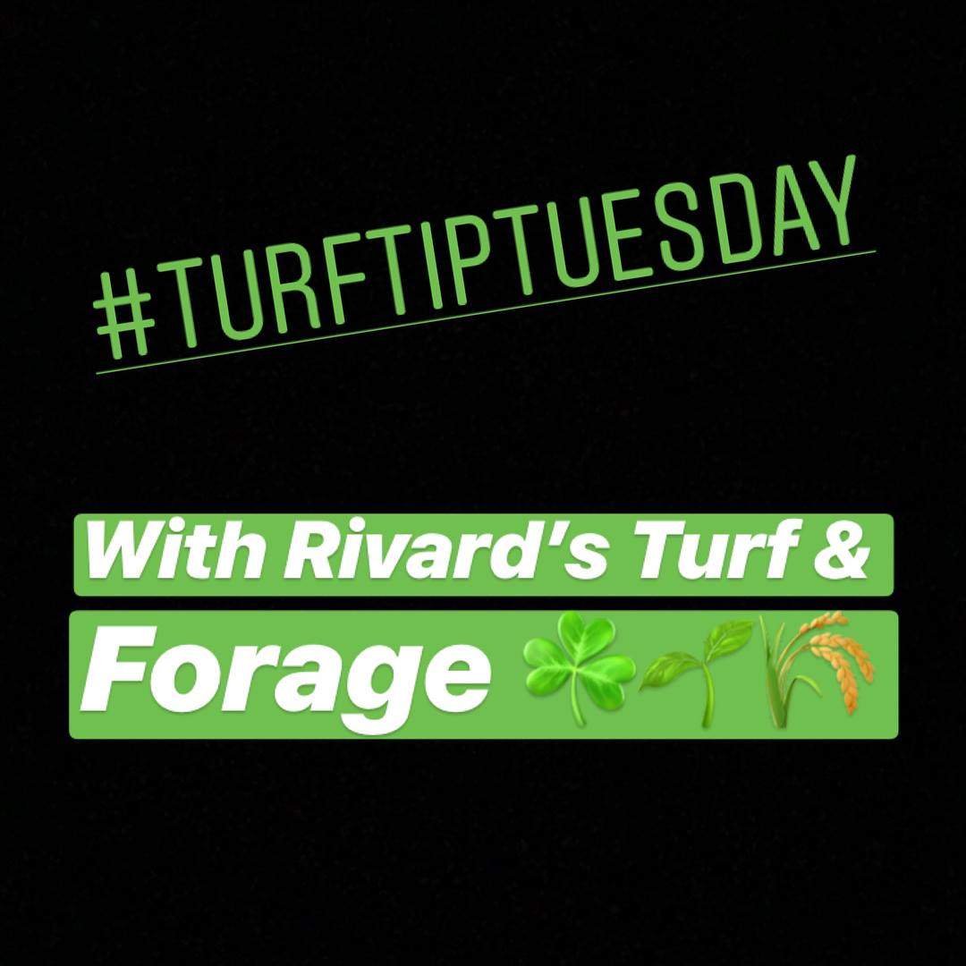 Happy Tuesday! Here’s a... - Rivard's Turf & Forage Inc. | Facebook