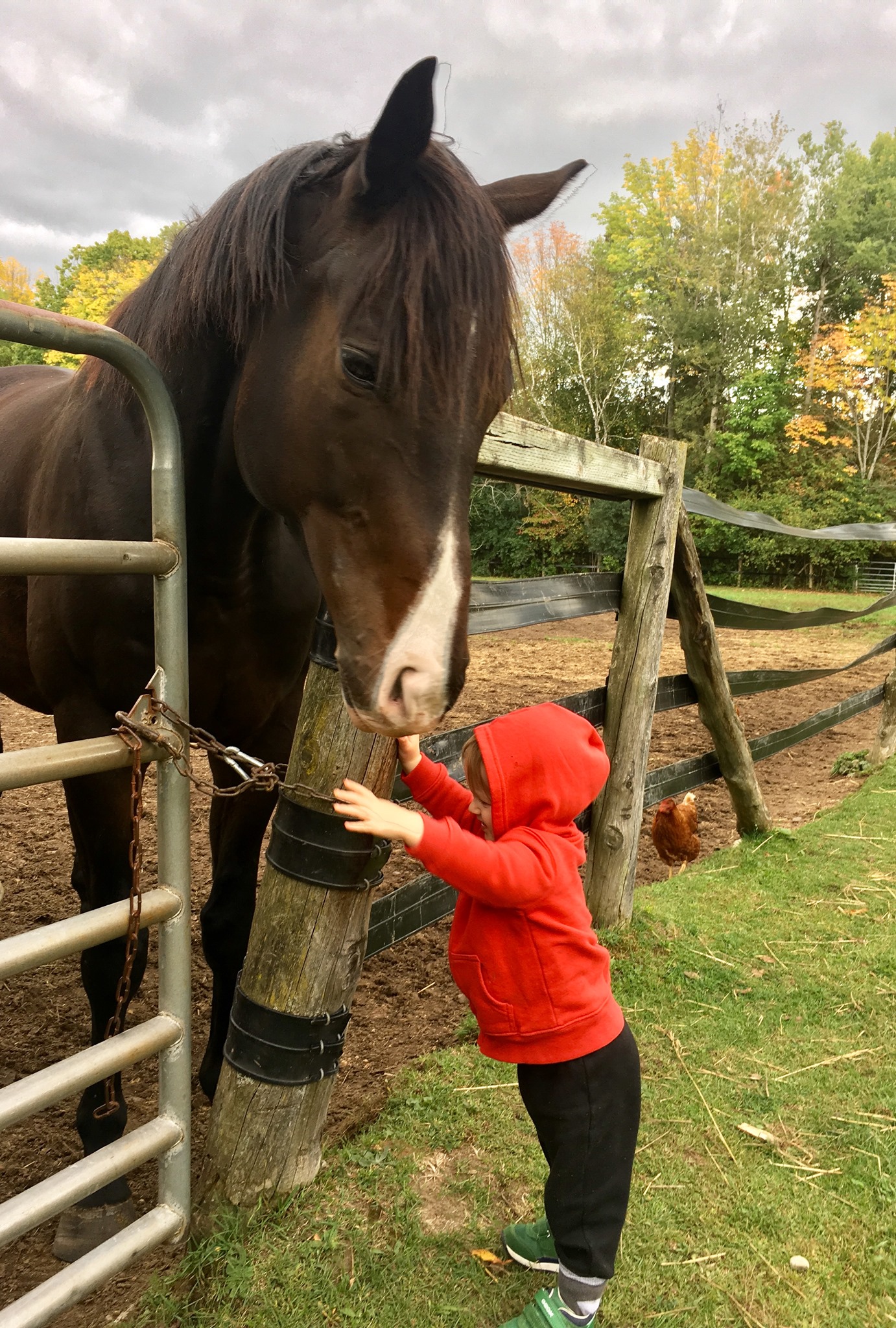 Renroc Farm | Spencerville ON