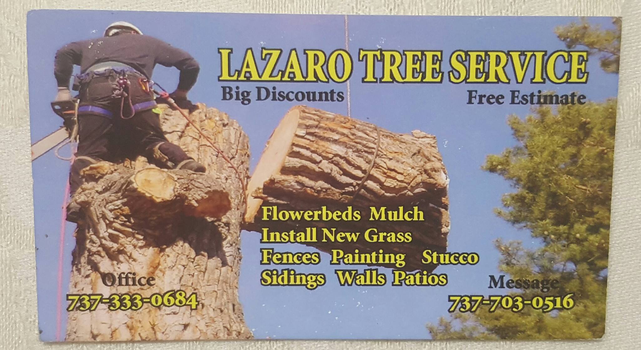 Lazaro TREE Service