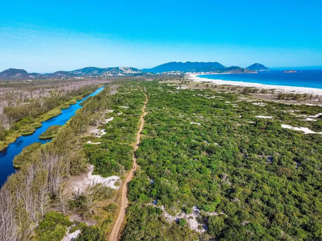 A Restinga de Massambaba é um... - Arraial do Cabo - RJ | Facebook
