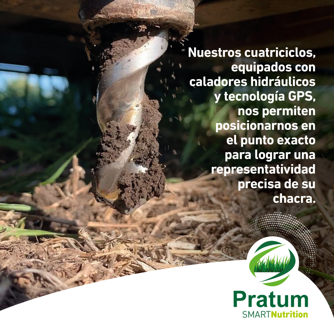 Pratum - El muestreo y análisis de suelo es una...