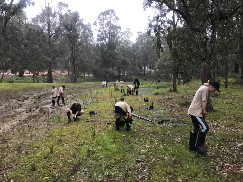 Our Bush... - Mount Lawley Senior High School - Official | Facebook