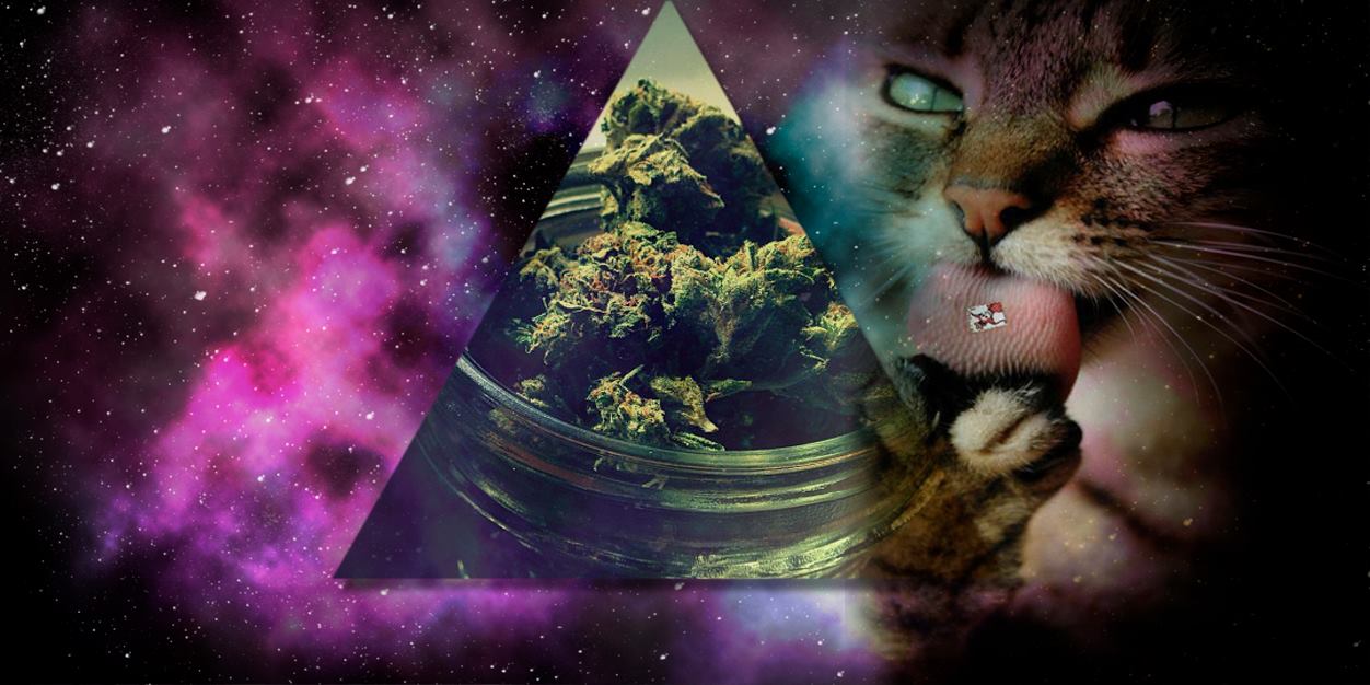 Infinity Weed ∞