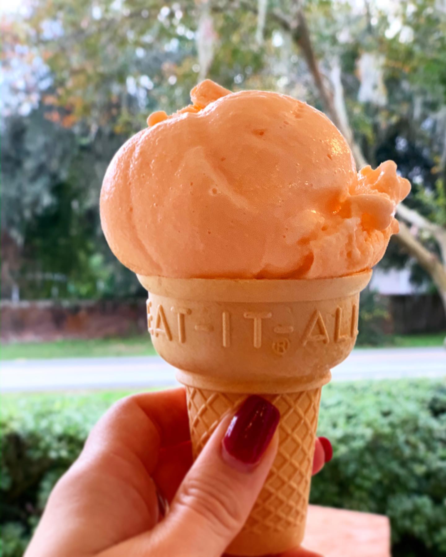 Neighbors - Orange Orange Sherbet is back!!🍊🍊🍊 And yummier than