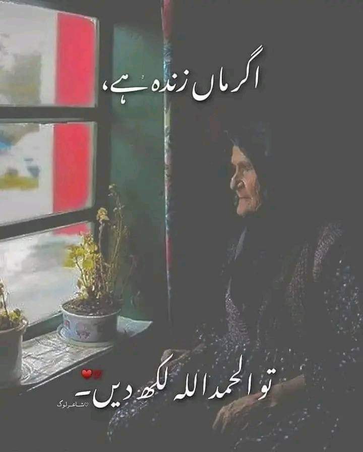 Rana Riaz & Co Ada Riaza Abad