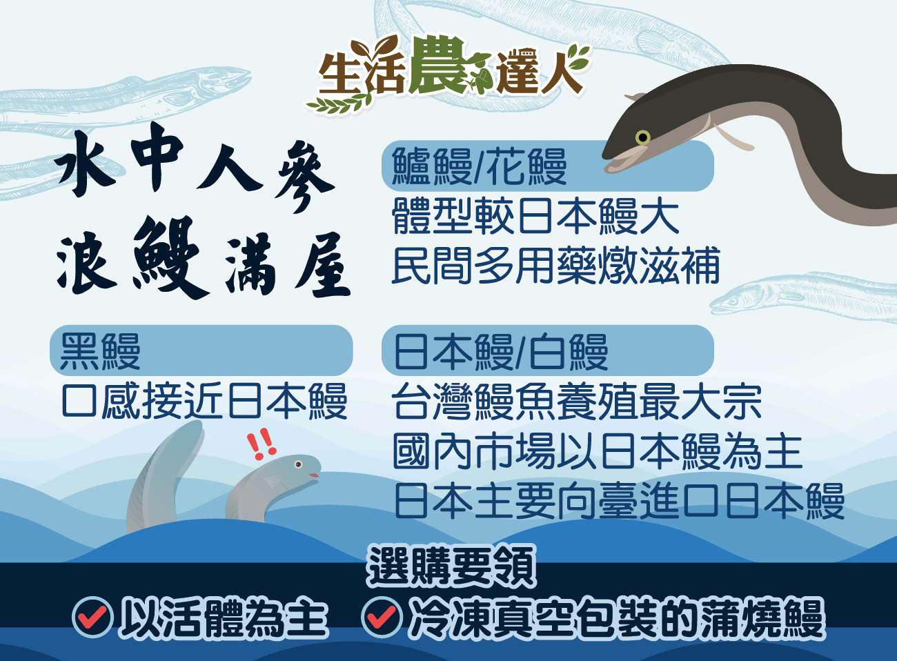 農業部 - 🍱 生活農達人－水中人參 浪鰻滿屋 鰻魚eel～蒲燒鰻～ 提到這個就流口水啦 🤤 名偵探柯南裡的元太...