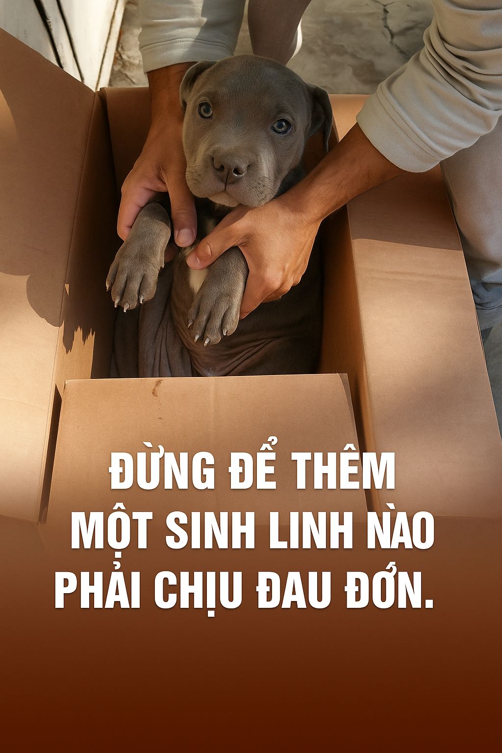 Tú - ĐỪNG GỌI ĐÓ LÀ BỎ RƠI – HÃY GỌI ĐÓ LÀ TÌNH YÊU Người ta thấy nó ...