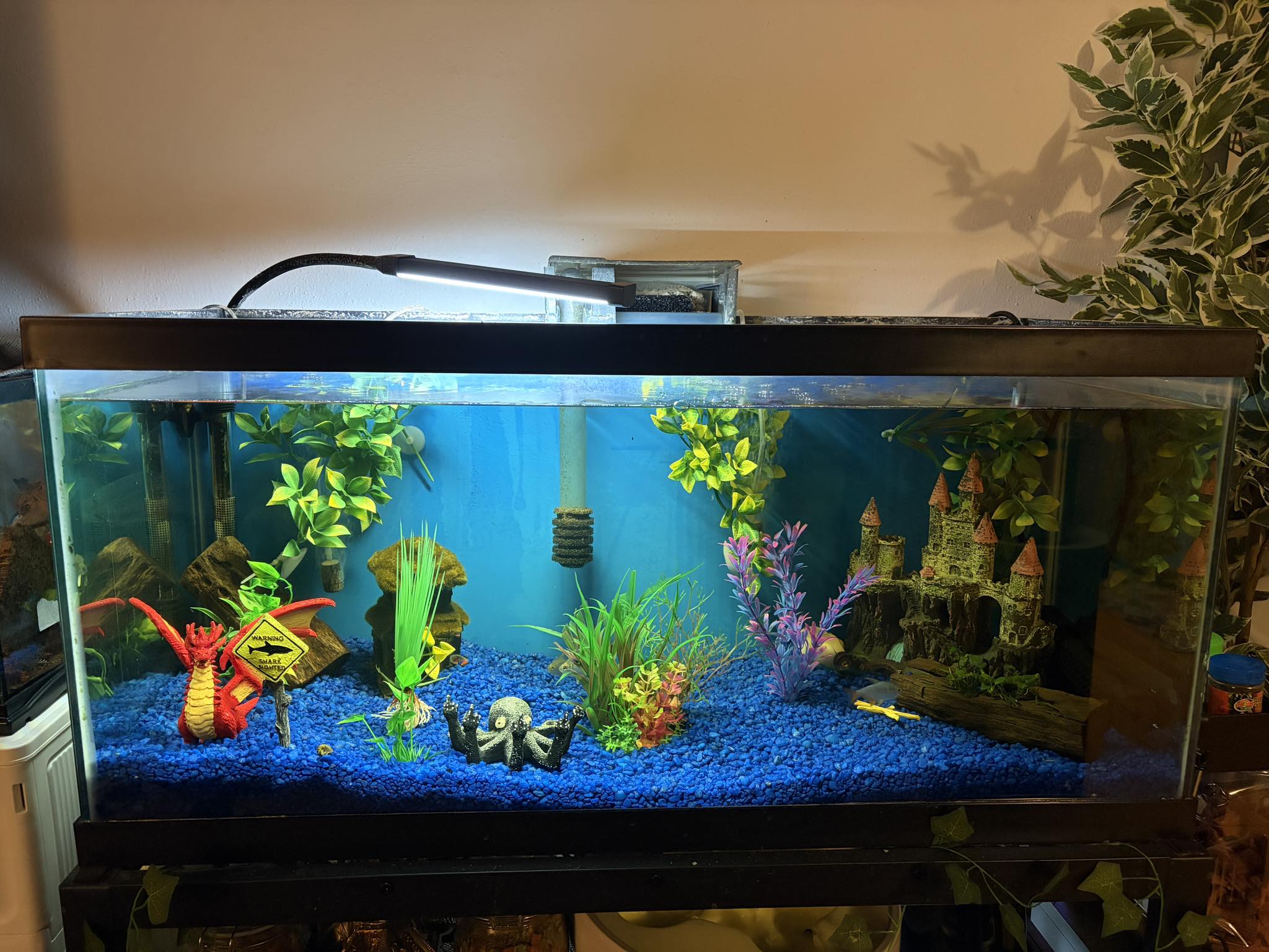 aquarium fish tank accessories Easter Island Statue & Terrarium Decor fishing reel grips Daiwa Seaborg 1200MJ Electric Color:Carbon Fiber (Red) Made from high grade